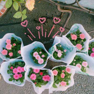 beat365平台app下载